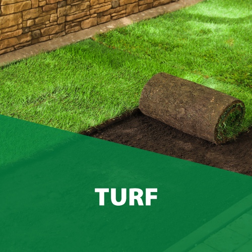 Turf